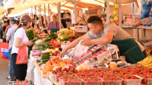 В Казахстане усиливают контроль за незаконным ввозом яиц и транзитом продуктов
