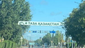 «Таза Қазақстан»: плоггинг у Балхаша провела молодежь Жетісу