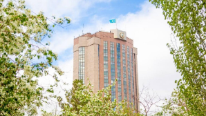 МВД подвело итоги ОПМ "Контрафакт"