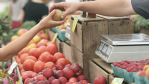В Абайской области выявили завышение цен на социально значимые продукты