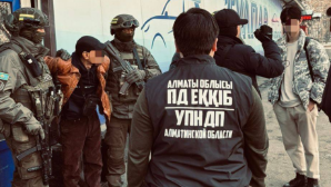Факты наркопреступлений выявлены в Алматинской области
