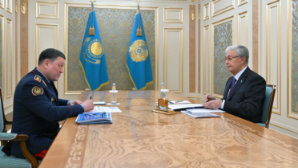 Токаев принял министра внутренних дел Ержана Саденова