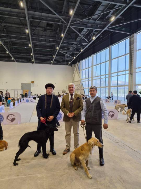 В Астане состоялась монопородная выставка Kazakh Tazy