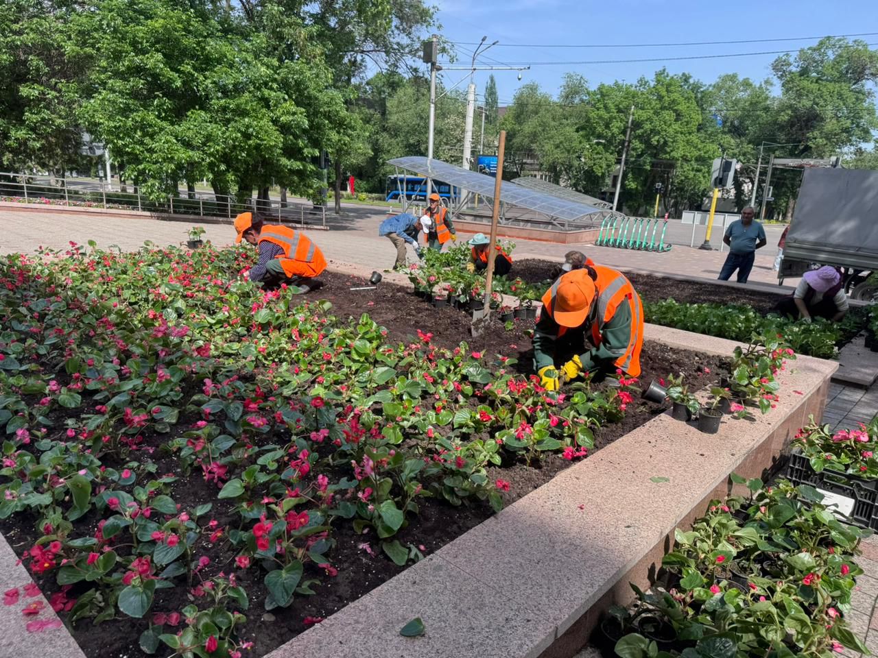 Во всех районах Алматы реализуют единую программу цветочного озеленения