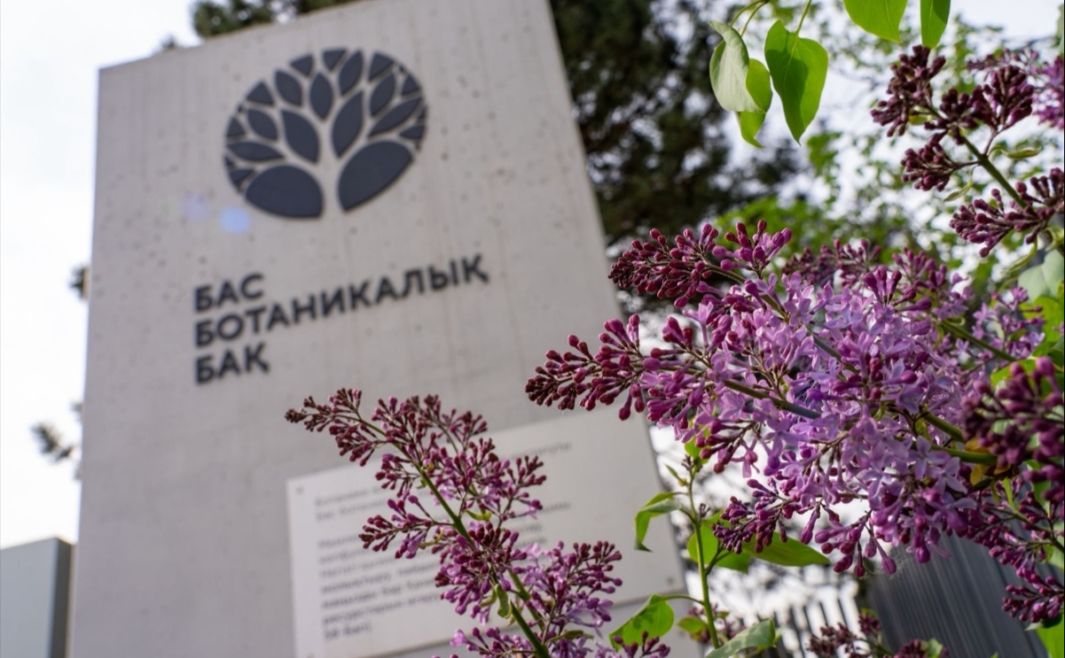 В Ботаническом саду Алматы создадут новые коллекции редких растений