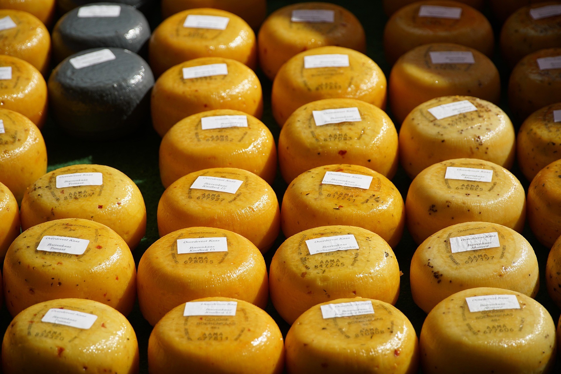 Казахстан увеличил производство сыра и творога на 28%