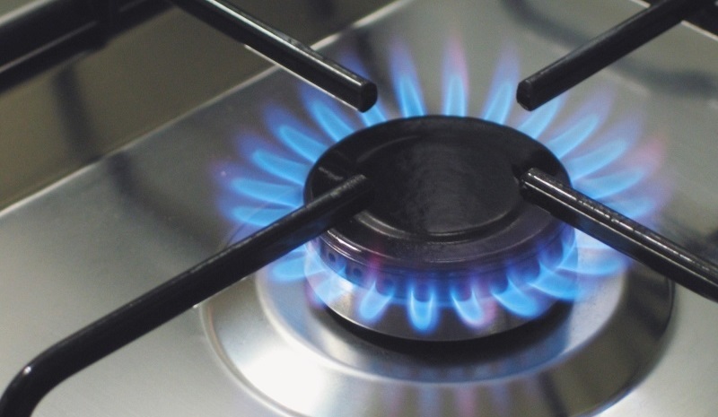 В части Наурызбайского и Алатауского районов Алматы временно отключат газ